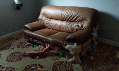 A ripped up couch